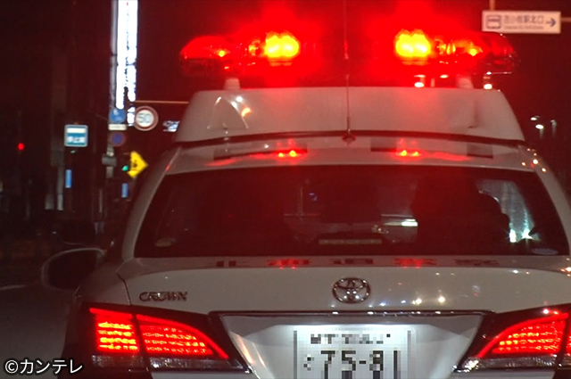 激撮！犯罪捜査24時2024