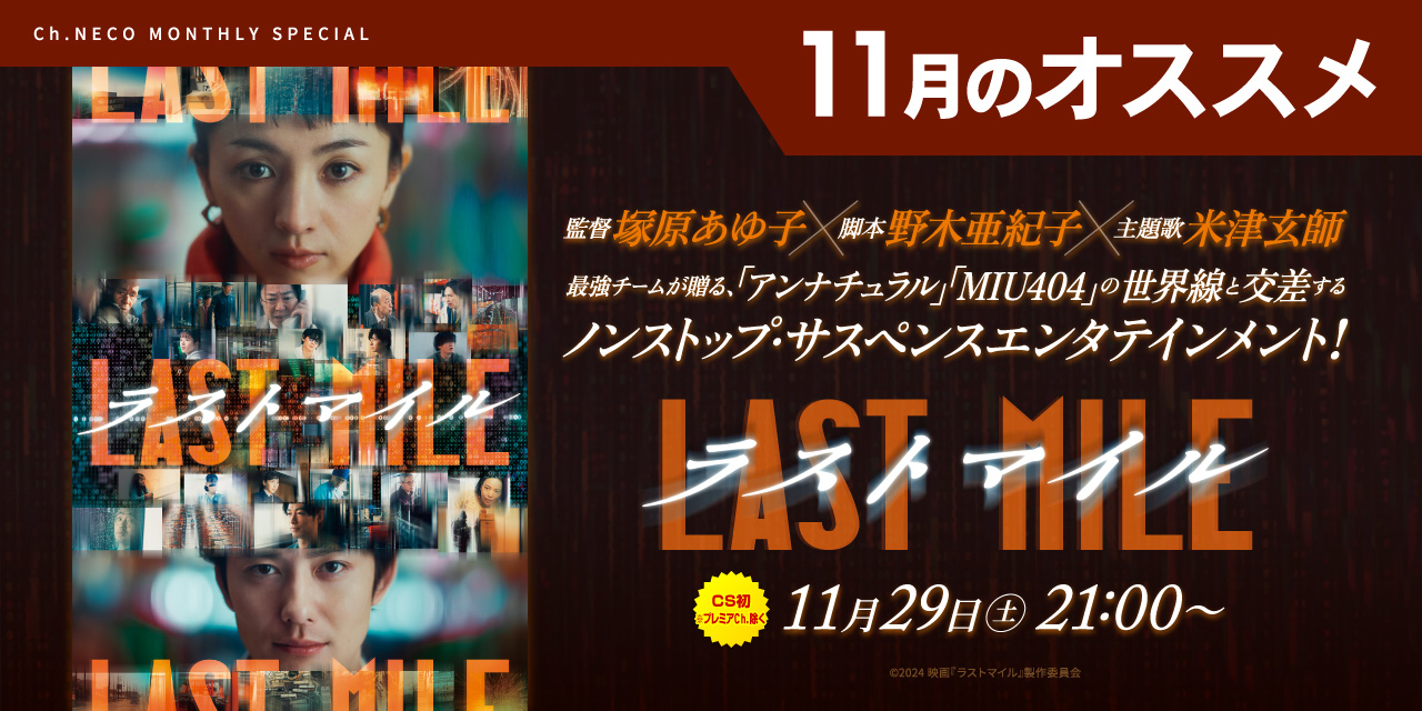 11月のオススメ