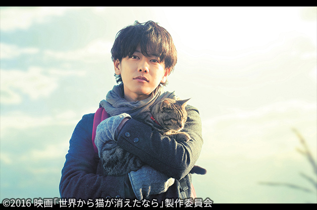 世界から猫が消えたなら