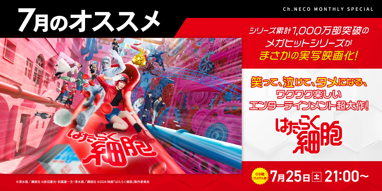 7月のオススメ