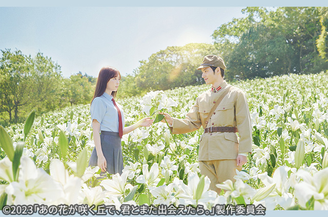 あの花が咲く丘で、君とまた出会えたら。