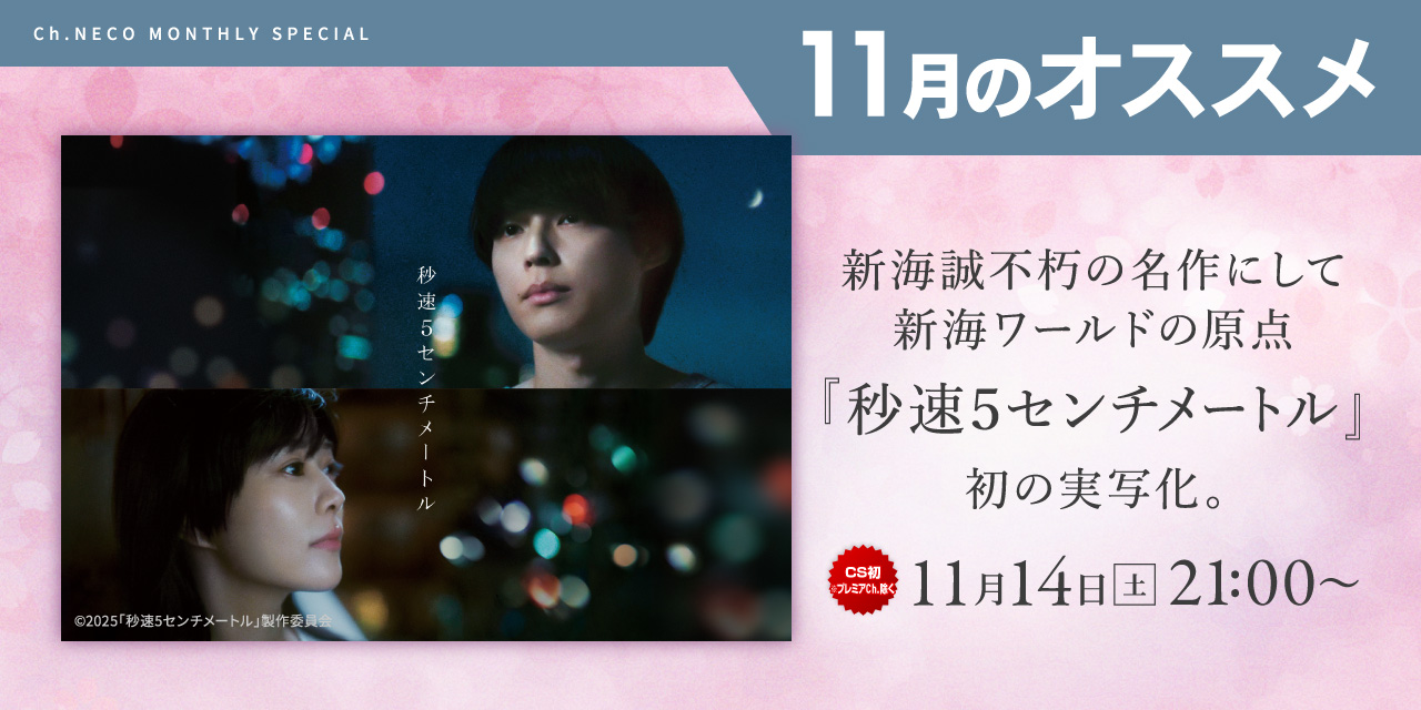 11月のオススメ