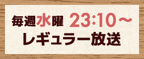 毎週水曜 23:10～ レギュラー放送