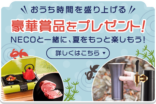 おうち時間を盛り上げる 豪華賞品をプレゼント！ NECOと一緒に、夏をもっと楽しもう！