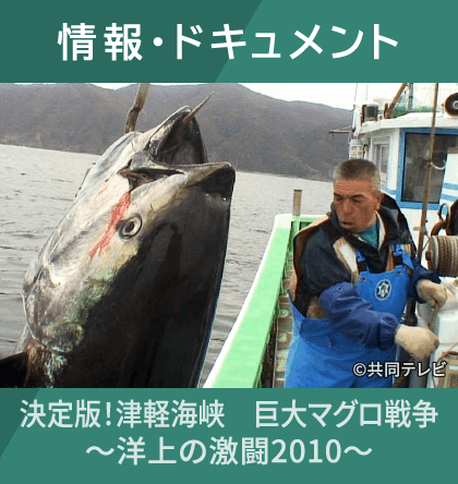 情報・ドキュメント 決定版！津軽海峡　巨大マグロ戦争 ～洋上の激闘2010～